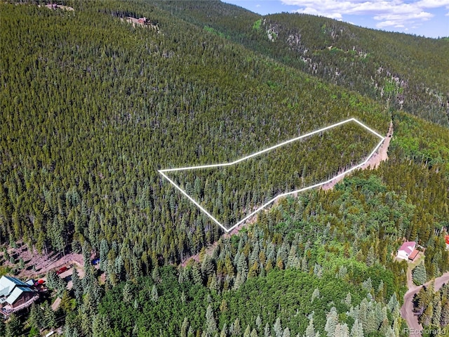 00 Valley View Dr, Idaho Springs, CO 80452 - photo 1