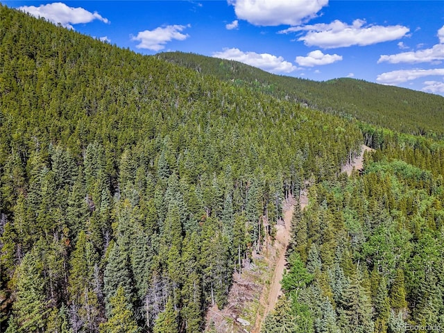 00 Valley View Dr, Idaho Springs, CO 80452 - photo 2