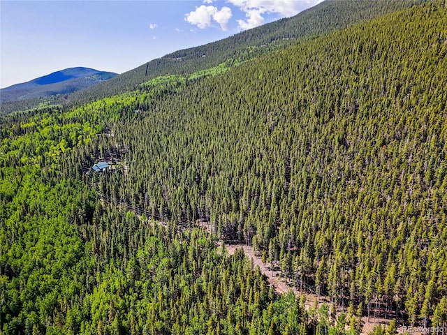 00 Valley View Dr, Idaho Springs, CO 80452 - photo 4