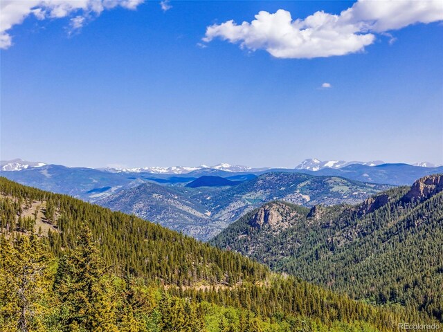 00 Valley View Dr, Idaho Springs, CO 80452 - photo 5