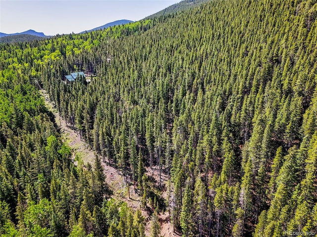 00 Valley View Dr, Idaho Springs, CO 80452 - photo 6