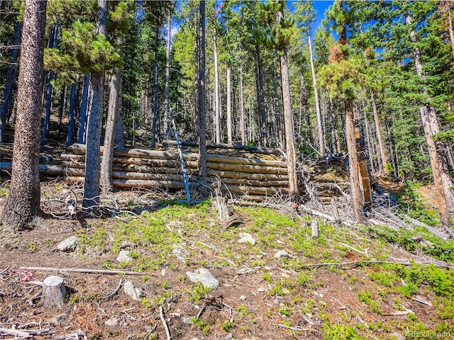 00 Valley View Dr, Idaho Springs, CO 80452 - photo 8