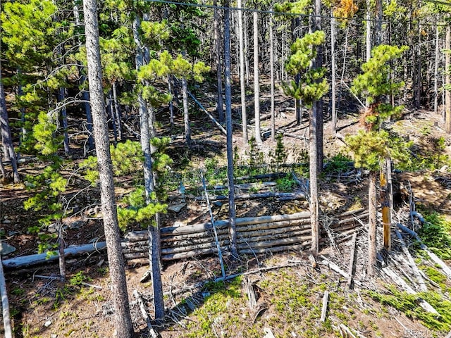 00 Valley View Dr, Idaho Springs, CO 80452 - photo 9