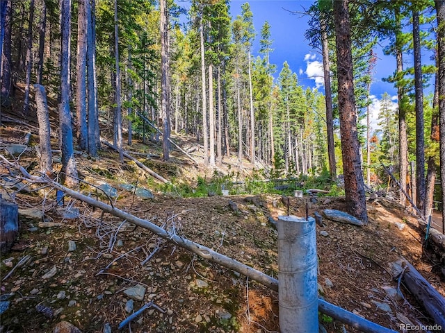 00 Valley View Dr, Idaho Springs, CO 80452 - photo 10