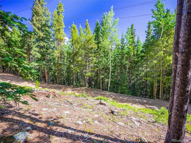 00 Valley View Dr, Idaho Springs, CO 80452 - photo 12