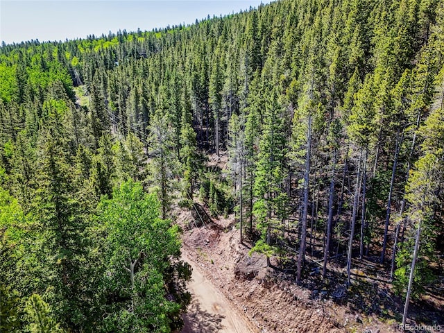 00 Valley View Dr, Idaho Springs, CO 80452 - photo 15