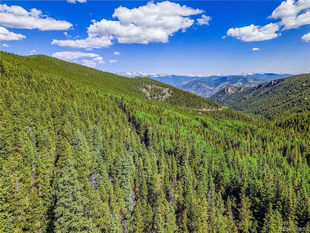 00 Valley View Dr, Idaho Springs, CO 80452 - photo 16