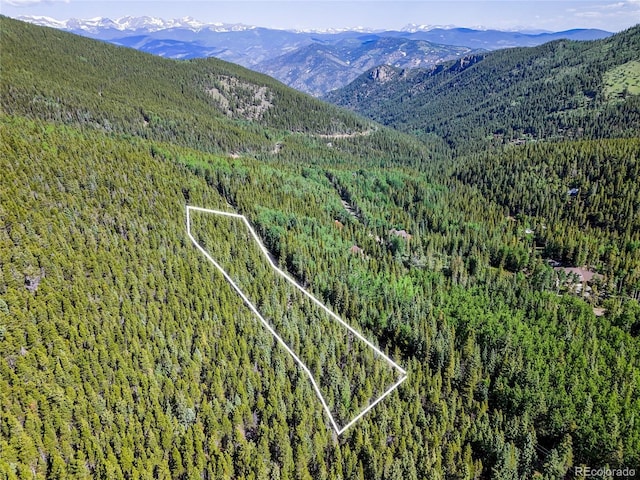 00 Valley View Dr, Idaho Springs, CO 80452 - photo 17