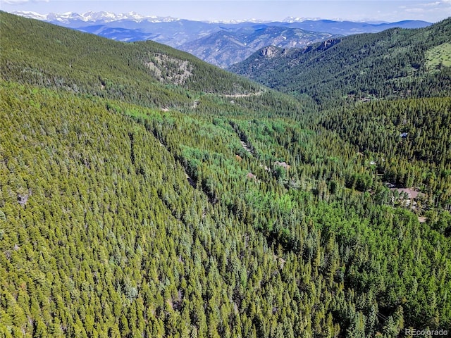 00 Valley View Dr, Idaho Springs, CO 80452 - photo 18