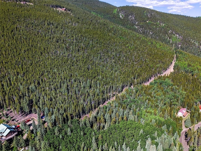 00 Valley View Dr, Idaho Springs, CO 80452 - photo 20