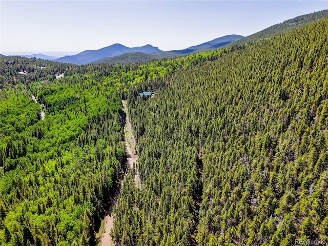 00 Valley View Dr, Idaho Springs, CO 80452 - photo 22