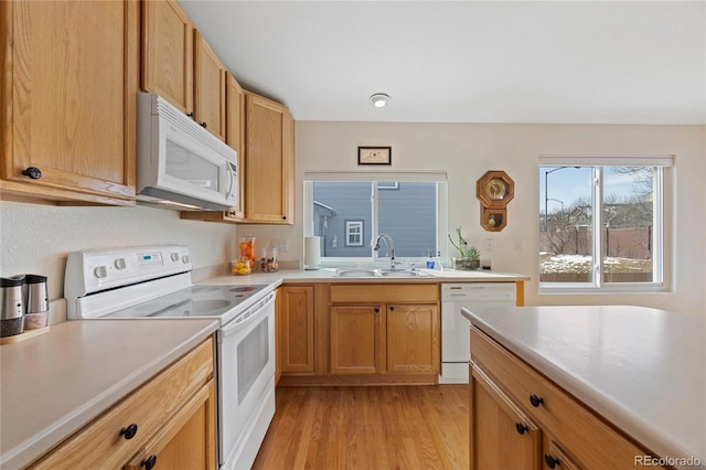 kitchen with light wood-style floors, white appliances, light countertops, and a sink