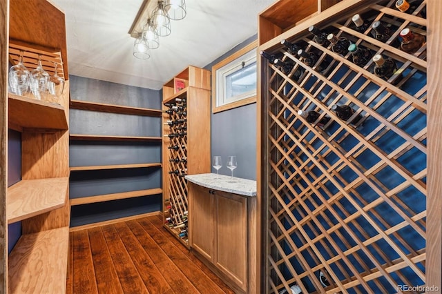 wine area with dark wood-type flooring