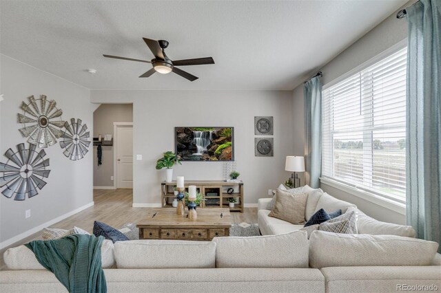 118 65th Ave, Greeley, CO 80634 - photo 7