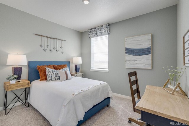 118 65th Ave, Greeley, CO 80634 - photo 17