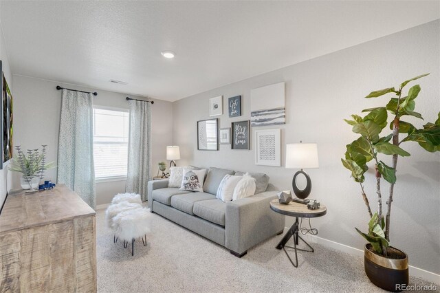 118 65th Ave, Greeley, CO 80634 - photo 19