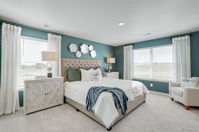 118 65th Ave, Greeley, CO 80634 - photo 21