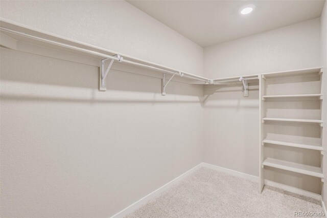 118 65th Ave, Greeley, CO 80634 - photo 25