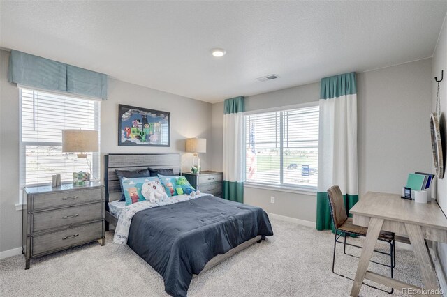 118 65th Ave, Greeley, CO 80634 - photo 26