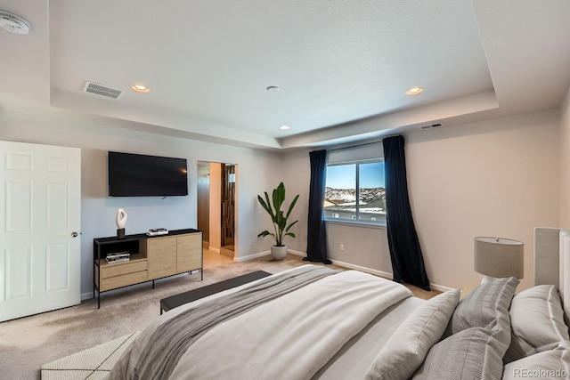 bedroom with a raised ceiling and light carpet