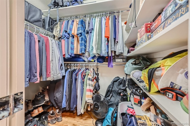 walk in closet featuring hardwood / wood-style floors