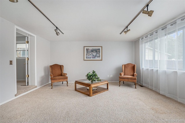 7644 Wyandot St, Denver, CO 80221 - living area with rail lighting and carpet floors