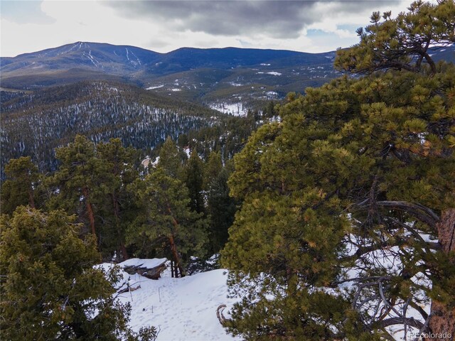 32593 Lodgepole Dr, Evergreen, CO 80439