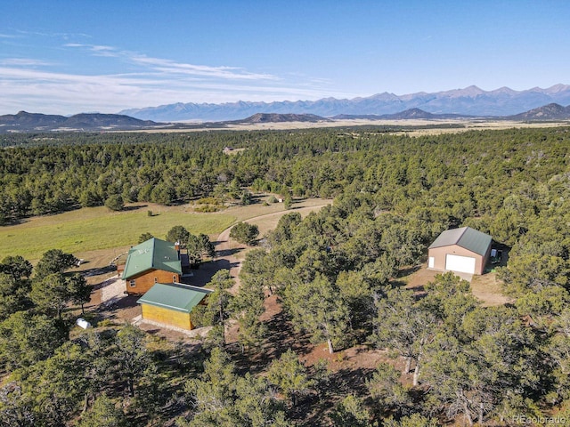 aerial view with a mountain view