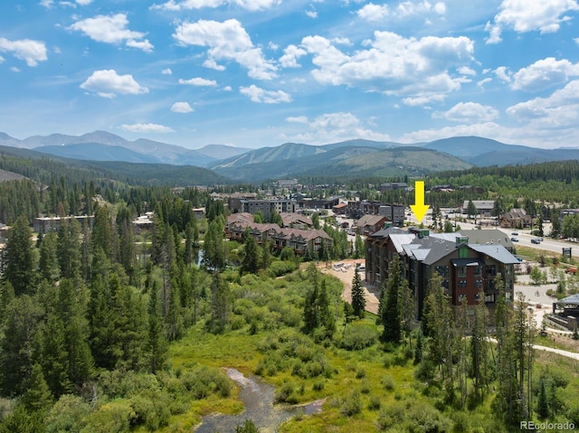 720 Baker Dr Unit 308, Winter Park, CO 80482 - photo 17