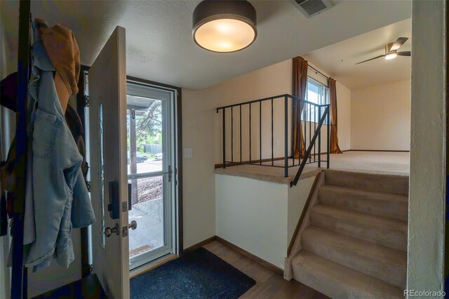 5233 Smokehouse Ln, Colorado Springs, CO 80917 - photo 4