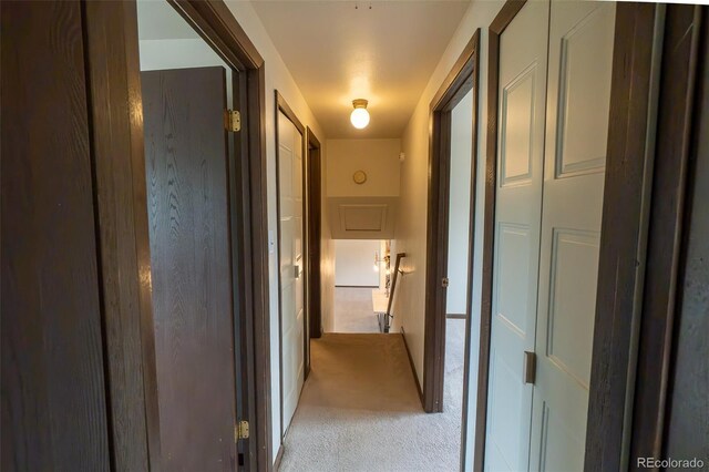 5233 Smokehouse Ln, Colorado Springs, CO 80917 - photo 12