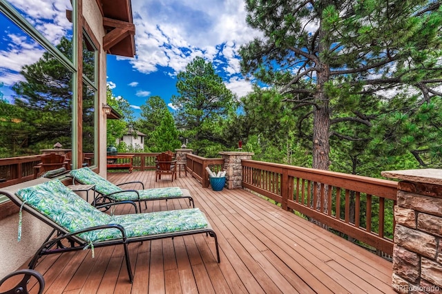 2392 Saddleback Dr, Castle Rock, CO 80104 - photo 40