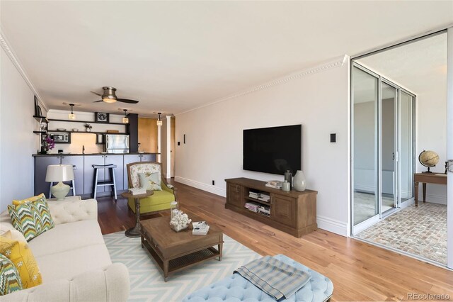 1050 N Corona St Unit 308, Denver, CO 80218 - living area with wood finished floors, ceiling fan, baseboards, and crown molding