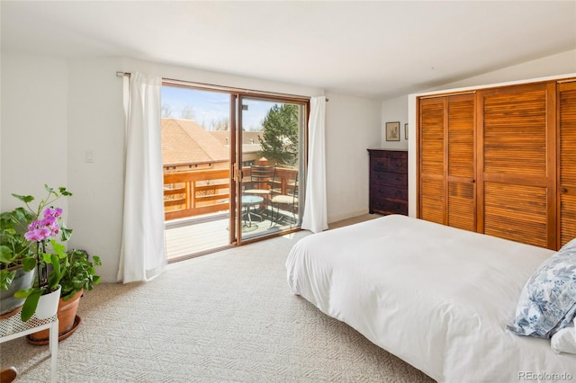 11 Baca Mdws, Moffat, CO 81131 - bedroom featuring access to exterior, lofted ceiling, carpet, and a closet