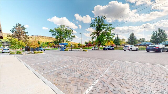 view of decorative street featuring street lights and curbs