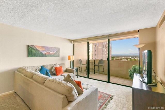 1020 15th St Unit 16A, Denver, CO 80202 - living area with carpet flooring and a textured ceiling