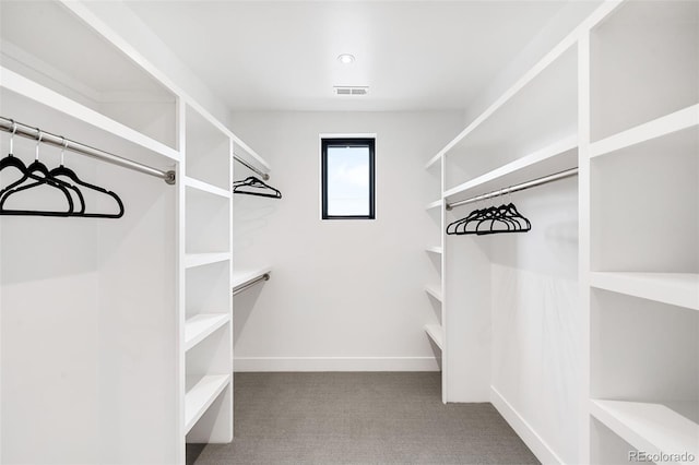 spacious closet with carpet floors