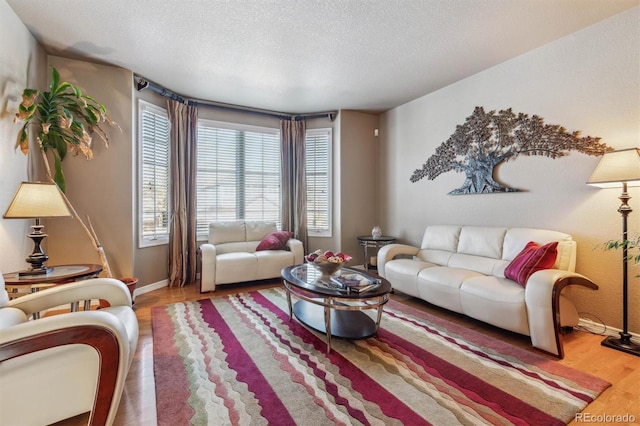 living room with a textured ceiling and hardwood / wood-style flooring