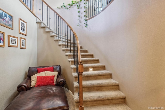 10834 Bobcat Ter, Lone Tree, CO 80124 - staircase with a towering ceiling and carpet flooring