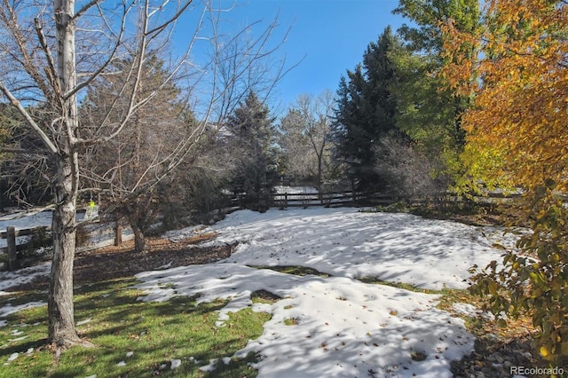 view of snowy yard