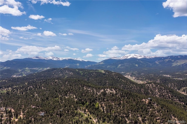 view of mountain feature with a forest view