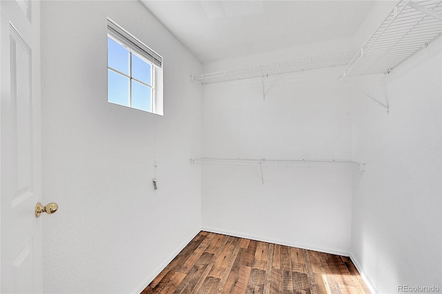 walk in closet featuring dark wood finished floors