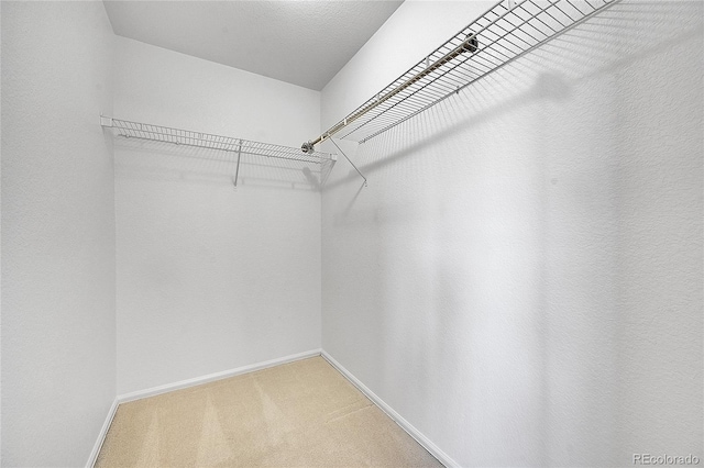 spacious closet featuring light carpet