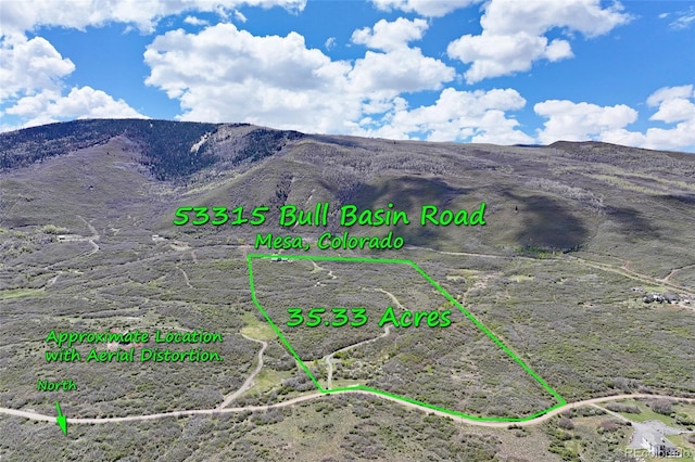 53315 Bull Basin Rd, Mesa, CO 81643 - view of mountain backdrop