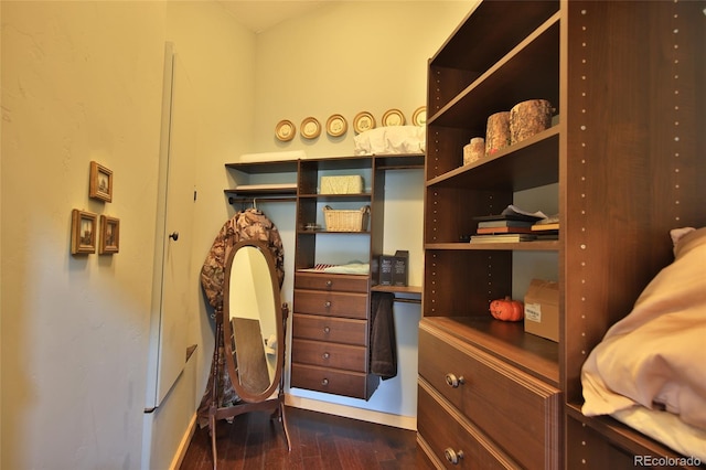 53315 Bull Basin Rd, Mesa, CO 81643 - walk in closet featuring dark wood-type flooring