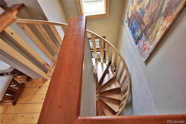 53315 Bull Basin Rd, Mesa, CO 81643 - view of stairs