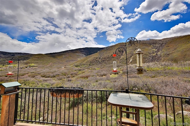 53315 Bull Basin Rd, Mesa, CO 81643 - view of mountain background