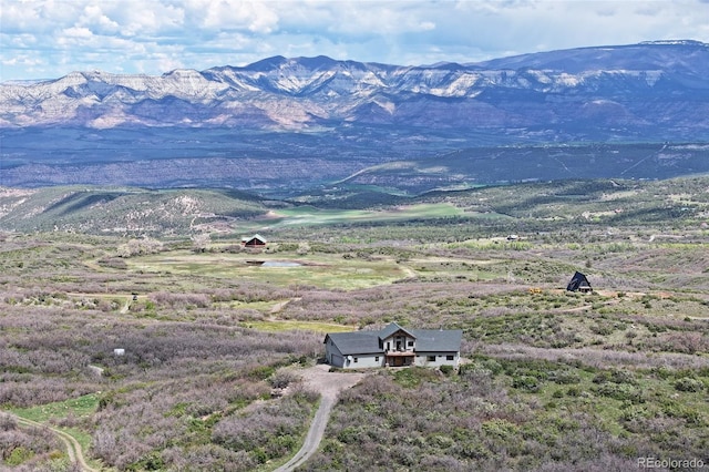 53315 Bull Basin Rd, Mesa, CO 81643 - view of mountain backdrop