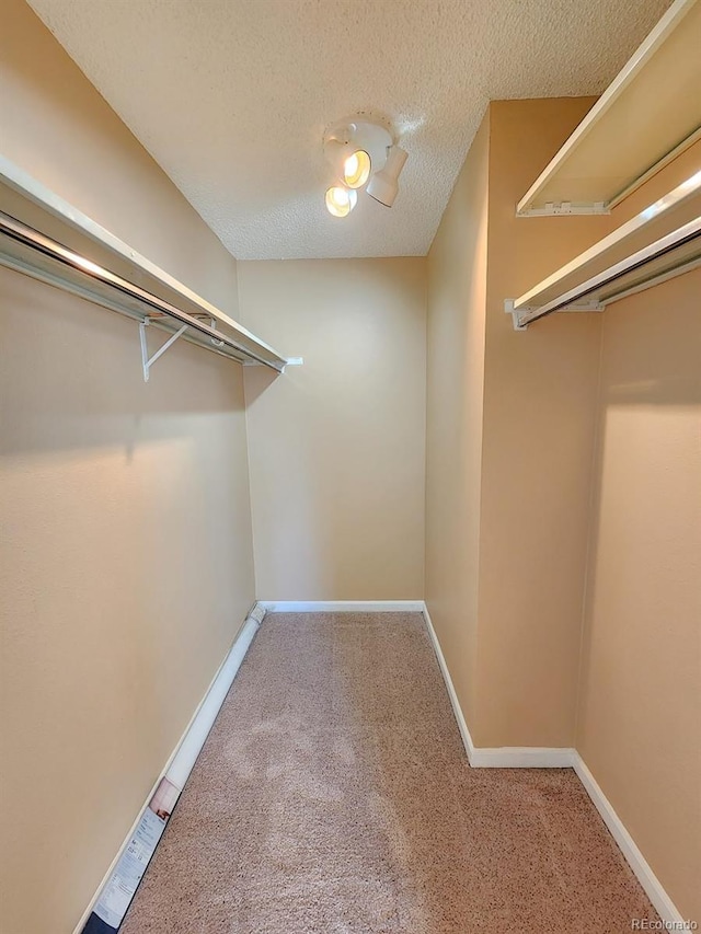 spacious closet with carpet floors