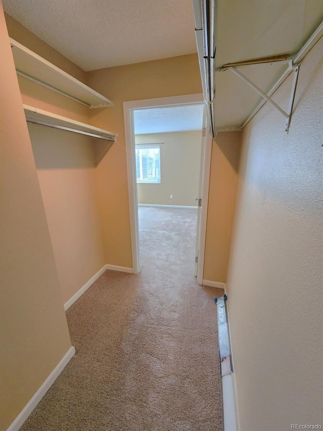 walk in closet featuring carpet floors